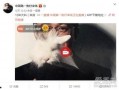 河南出轨爆料事件最新,真相与争议交织的婚姻漩涡