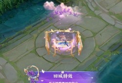 爆料王昭君新皮肤视频,冰封幻境，美艳动人