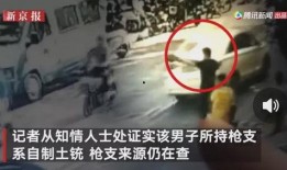 东北食品爆料事件视频完整版,揭露行业黑幕，揭秘食品安全真相