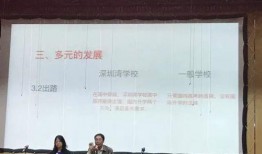 深圳李师傅最新爆料,揭秘行业最新动态