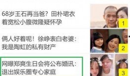 爆料娱乐圈的书叫啥名字,揭秘幕后真相