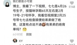 娱乐吃瓜君房琪,娱乐吃瓜界的风云人物
