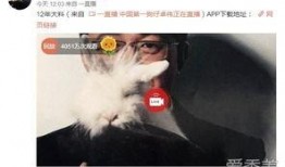 河南出轨爆料事件最新,真相与争议交织的婚姻漩涡