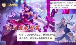 爆料王昭君新皮肤视频,冰封幻境，美艳动人