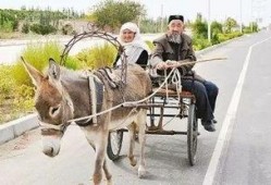 爆料二驴卖车视频播放,揭秘网红带货新趋势