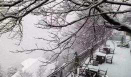 爆料下雪了的视频,下雪视频曝光，银装素裹美景如画”