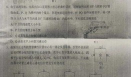 向阳生活爆料最新消息是真的吗,最新消息真实性揭秘