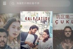 伴侣在线观看,伴侣在线观影时光
