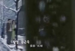 密爱在线观看视频,揭秘虚拟世界中的情感纠葛