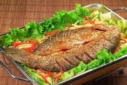 石家庄烤鱼爆料事件视频,视频揭露惊人真相，网友热议不断