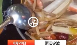 宁波爆料吃虫子事件视频,惊悚一幕引发网友热议