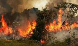 大火爆料小火收汁视频,烹饪技巧揭秘