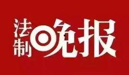 珠江台新闻爆料联系,揭秘重大新闻事件背后的真相